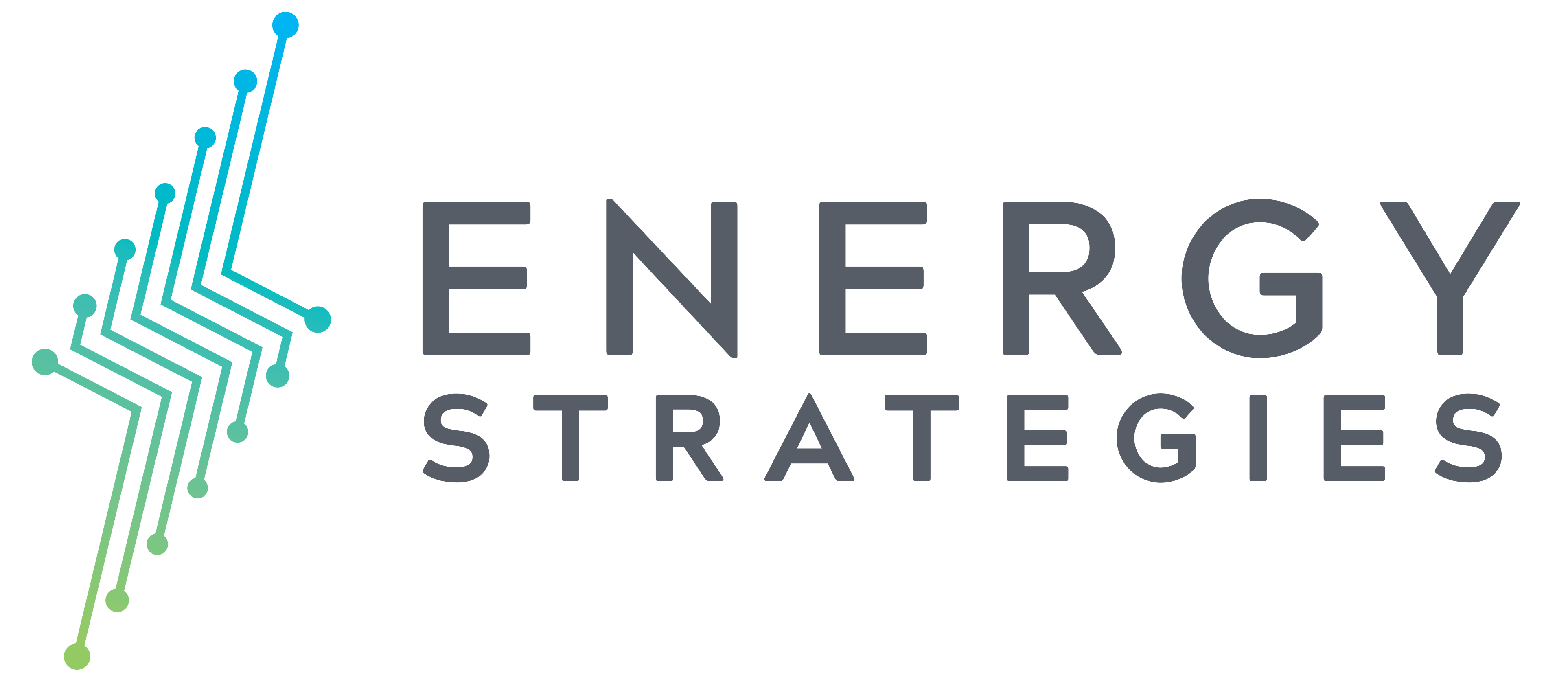 Energy Strategies